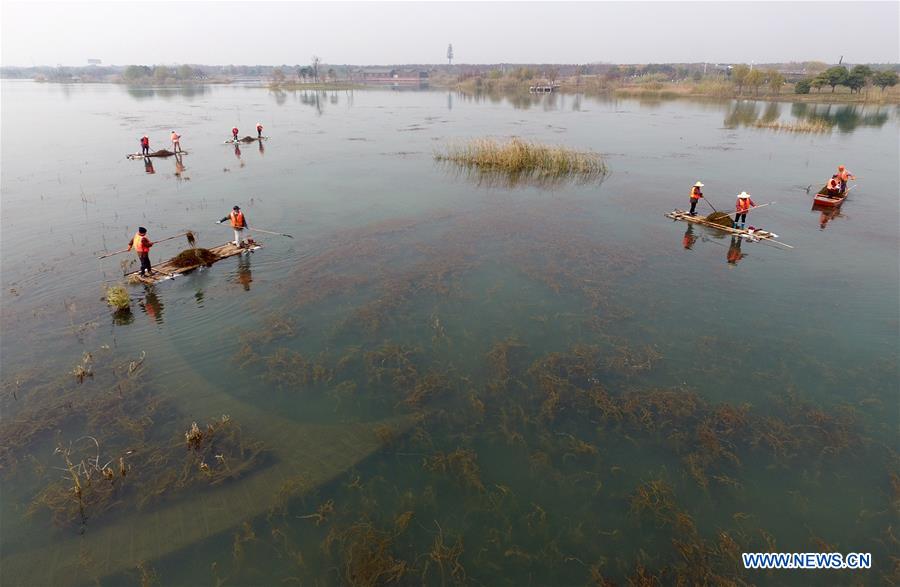 CHINA-TAIHU LAKE BASIN-RIVER CHIEFS (CN)