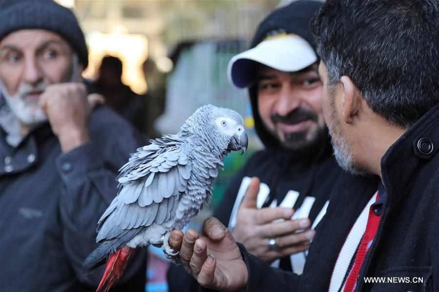 IRAQ-BAGHDAD-PET MARKET