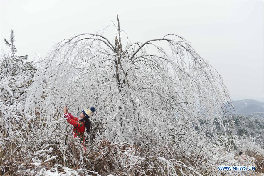 #CHINA-GUIYANG-FROST SCENERY (CN)