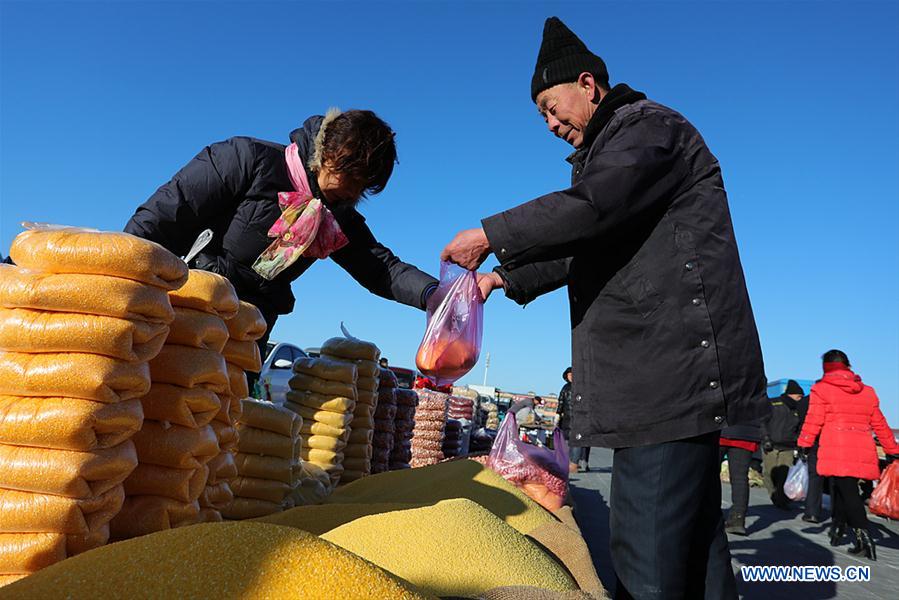 #CHINA-TIANJIN-SPRING FESTIVAL-PREPARATION (CN)