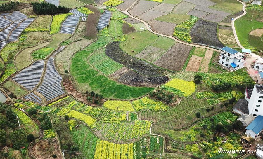 CHINA-GUANGXI-SPRING SCENERY (CN)