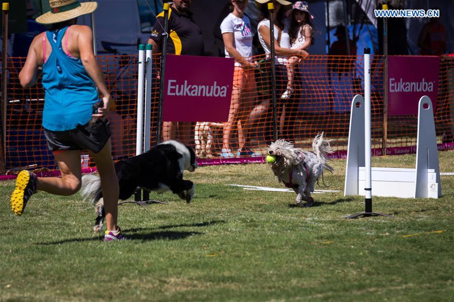 AUSTRALIA-CANBERRA-AGRICULTURAL SHOW