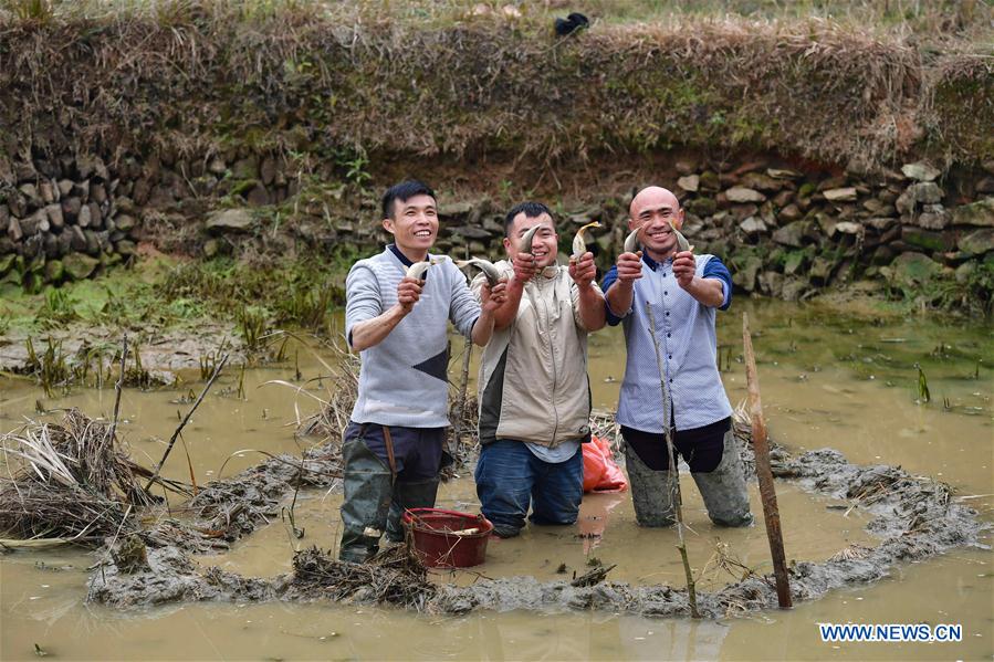 CHINA-GUANGXI-MIAO ETHNIC GROUP-SPRING FESTIVAL (CN)