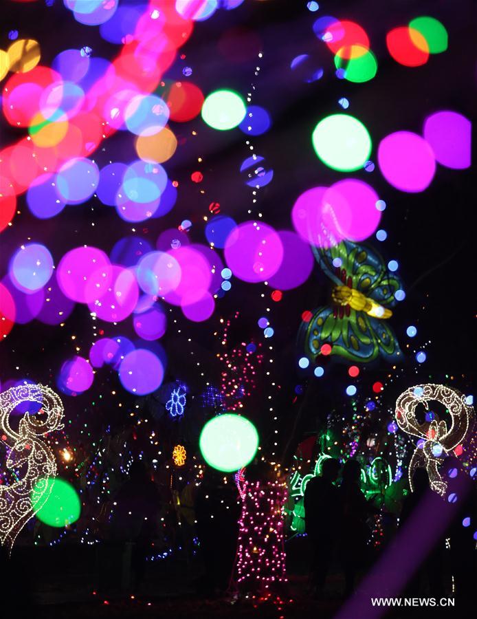 #CHINA-SHANDONG-HOLIDAY-LANTERNS (CN)