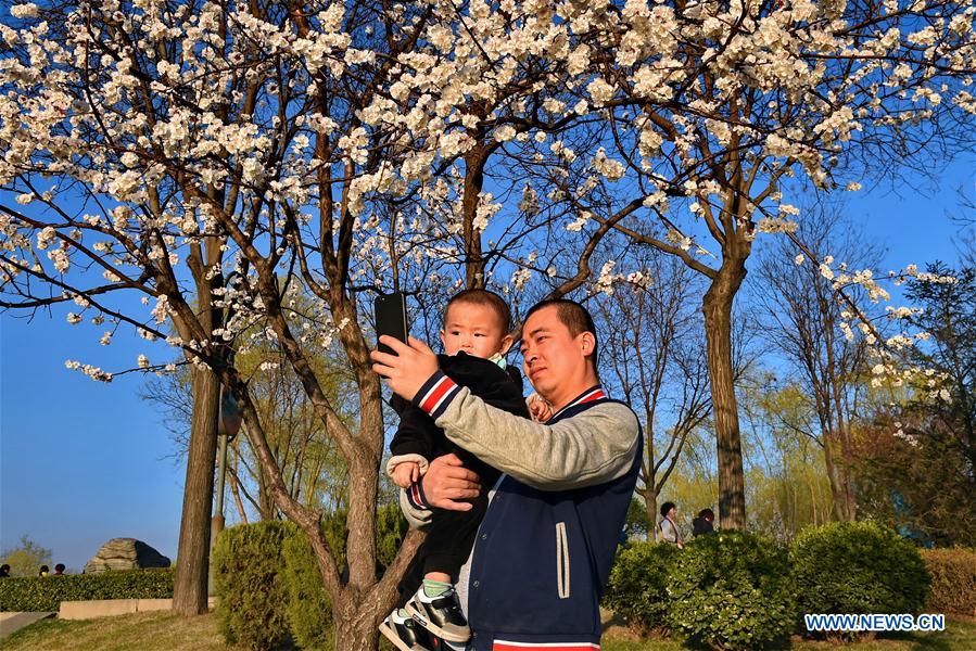 CHINA-SHANXI-ALMOND BLOSSOM-TOURISM (CN)