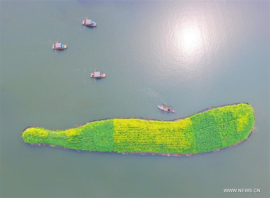 #CHINA-SPRING-SCENERY(CN)