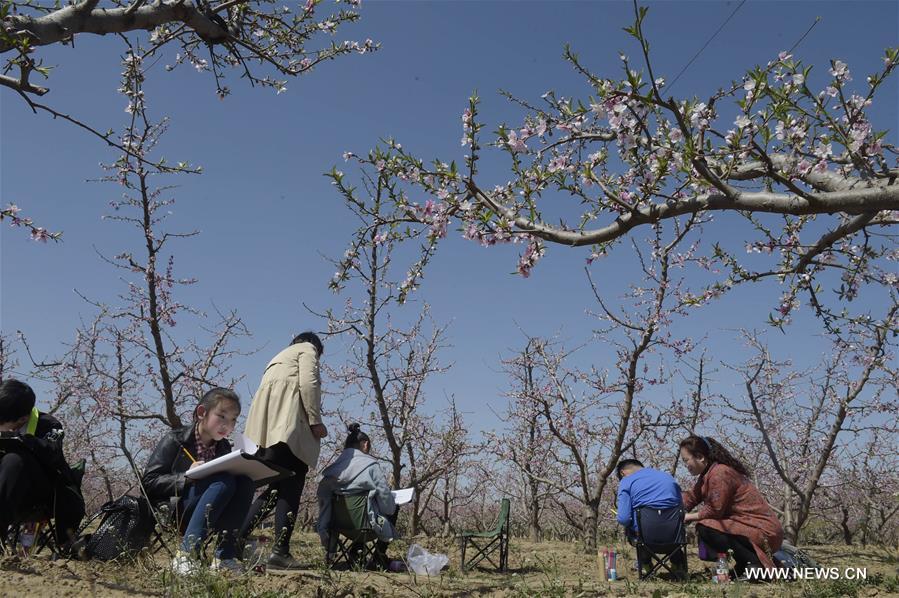 CHINA-HEBEI-PEACH FIELD-ART LESSON (CN)