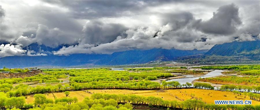 CHINA-TIBET-WETLAND-SCENERY (CN)