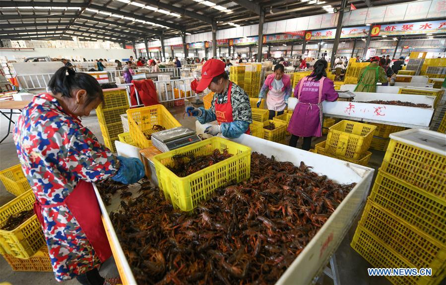 #CHINA-HUBEI-FOOD INDUSTRY-CRAYFISH (CN)