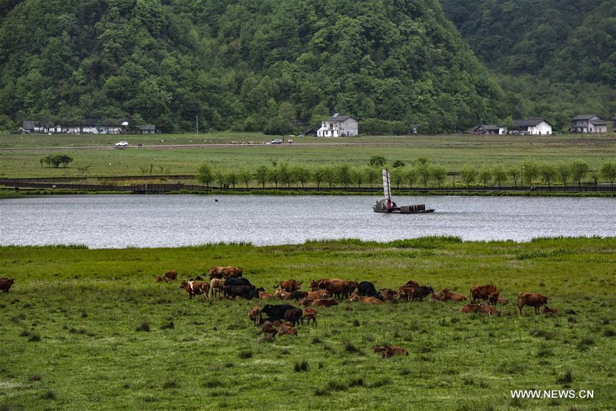 CHINA-HUBEI-DAJIUHU WETLAND-SCENERY (CN)