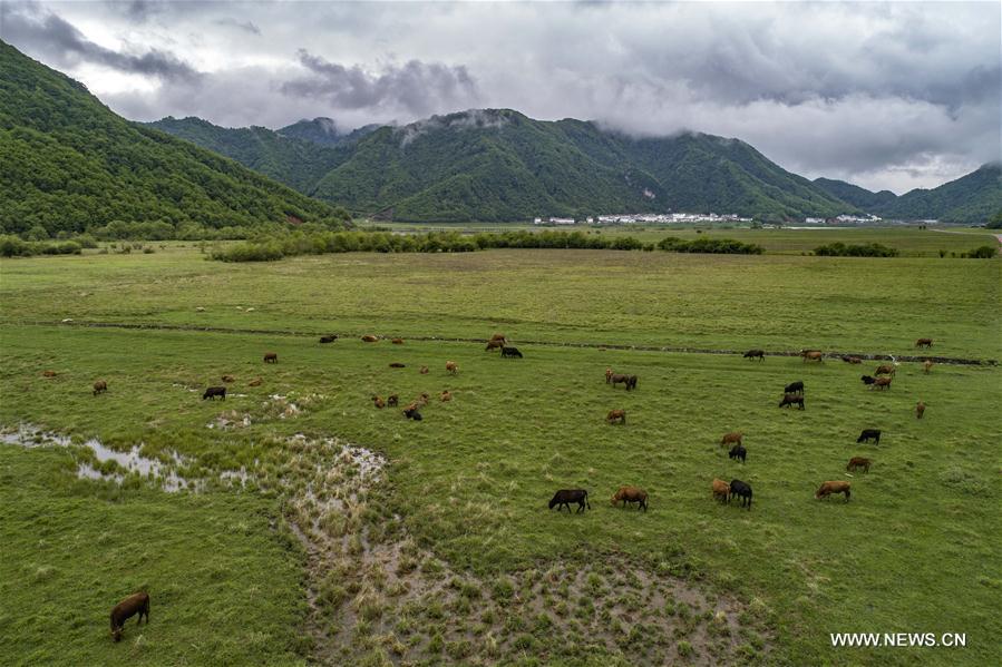 CHINA-HUBEI-DAJIUHU WETLAND-SCENERY (CN)