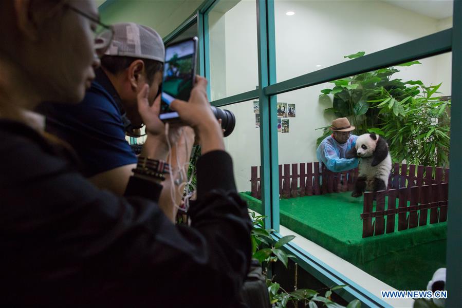 MALAYSIA-KUALA LUMPUR-CHINA-GIANT PANDA CUB-DEBUT