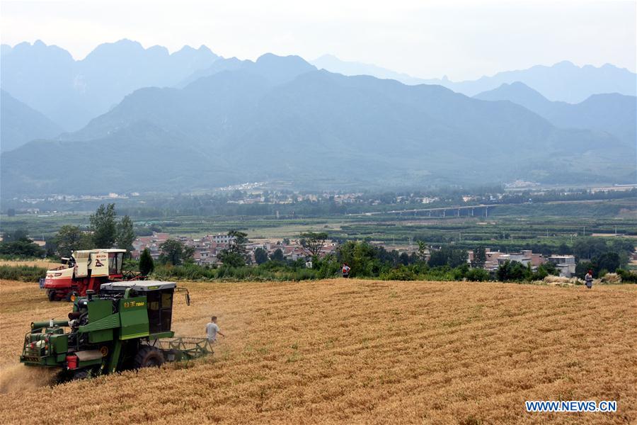 CHINA-XI'AN-WHEAT-HARVEST (CN)