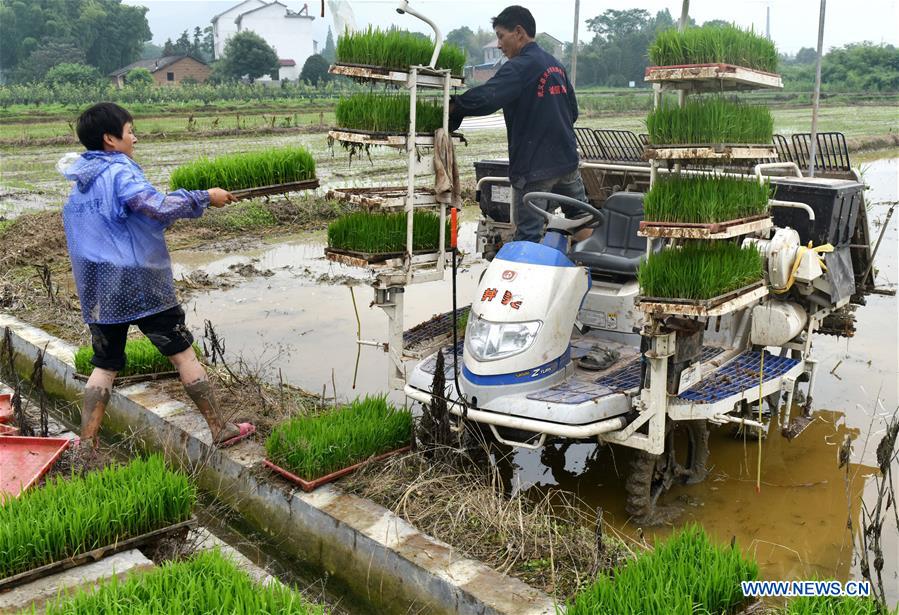 #CHINA-ZHEJIANG-AGRICULTURE (CN)