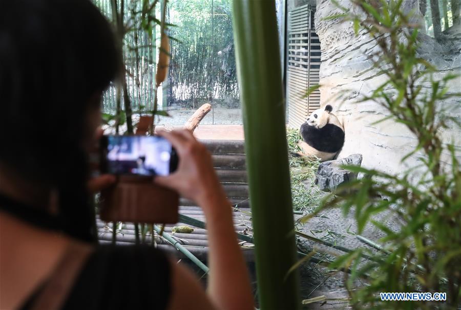 GERMANY-BERLIN-PANDAS