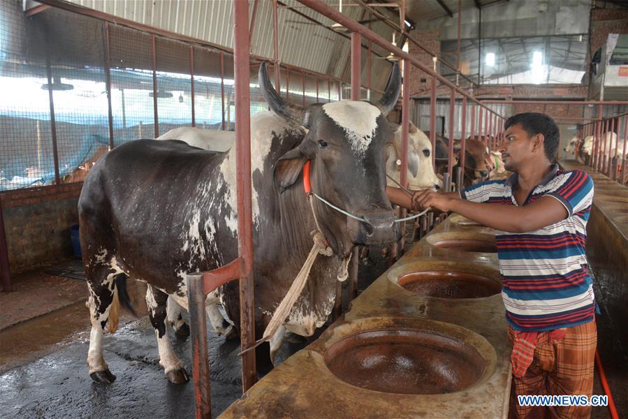 BANGLADESH-DHAKA-SACRIFICIAL-ANIMALS