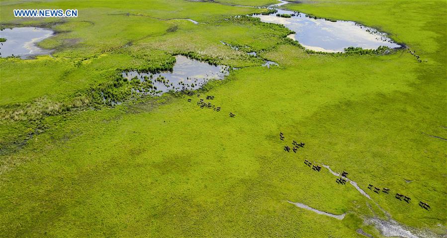 CHINA-WETLAND PROTECTION (CN)