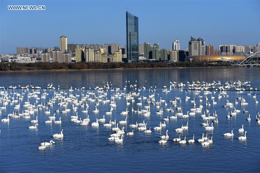 CHINA-WETLAND PROTECTION (CN)