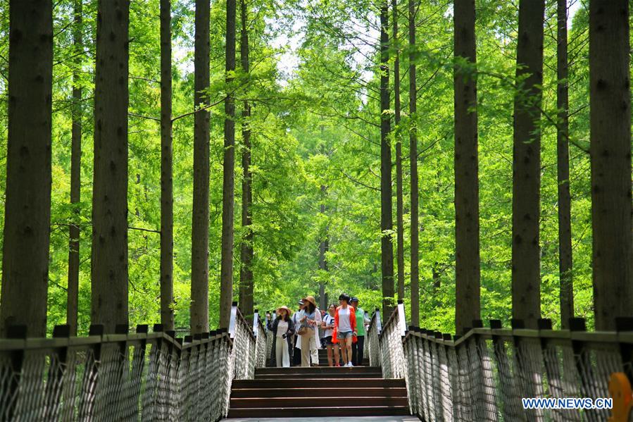 #CHINA-JIANGSU-FOREST PARK-SCENERY (CN)