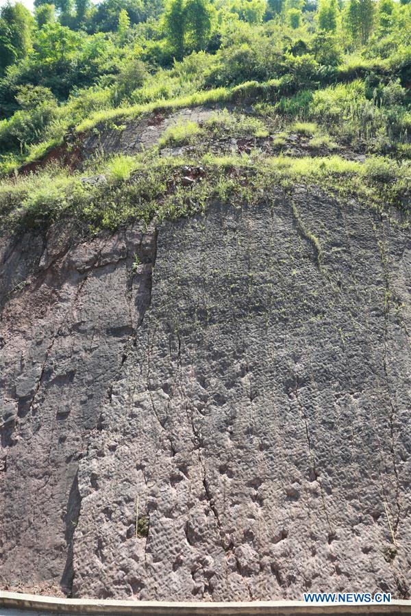 CHINA-GUIZHOU-DINOSAUR FOOTPRINTS (CN)