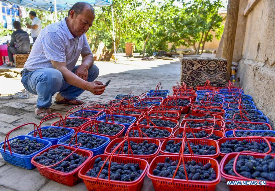 CHINA-XINJIANG-FRUITS (CN)