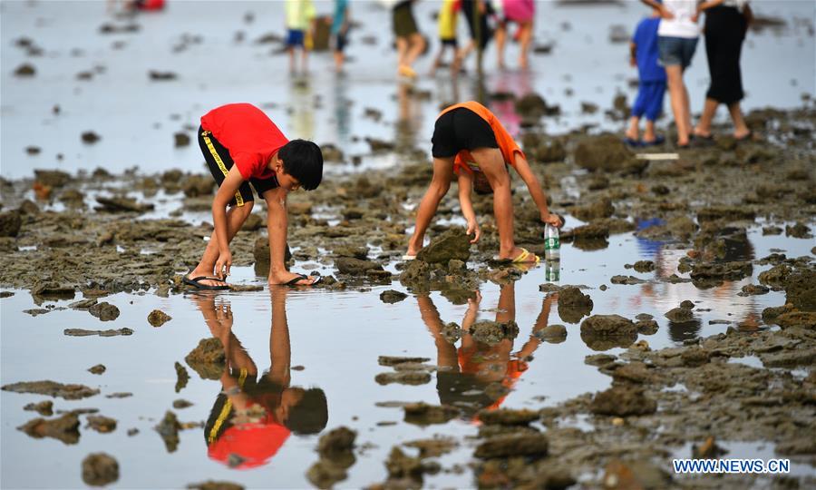 CHINA-HAINAN-QIONGHAI-BEACHCOMBING (CN)