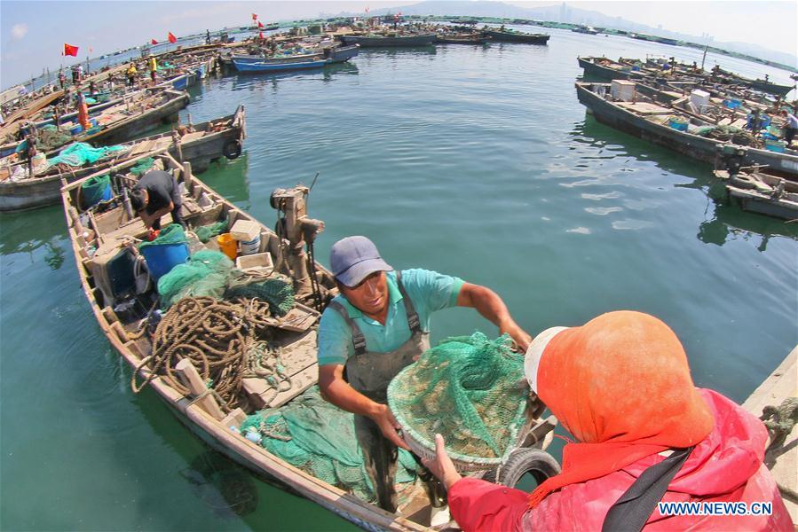 #CHINA-SHANDONG-YANTAI-FISHING BAN-END (CN)