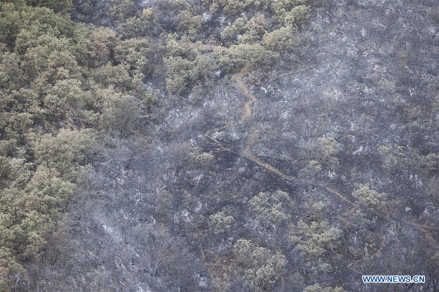 IRAN-MARIVAN-FOREST-WILDFIRE