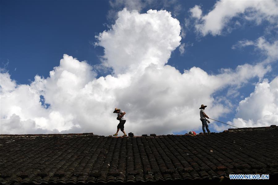 CHINA-GUANGXI-TYPHOON MANGKHUT-AFTERMATH (CN)