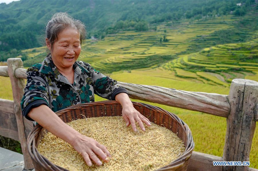 CHINA-CHONGQING-FARMWORK-TOURISM (CN)