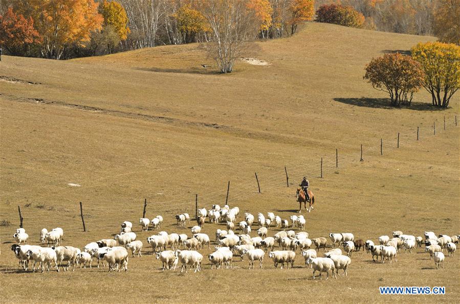 #CHINA-INNER MONGOLIA-SCENERY (CN)