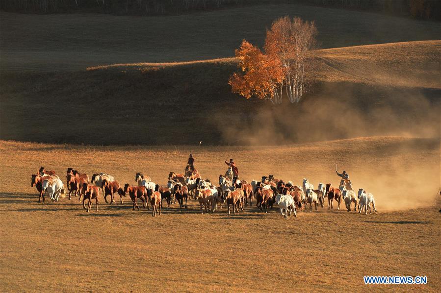 #CHINA-NATIONAL DAY-HOLIDAY-LIFESTYLE-LEISURE (CN)