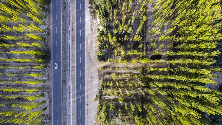 Xinhua Headlines: Man-made oasis: Xinjiang