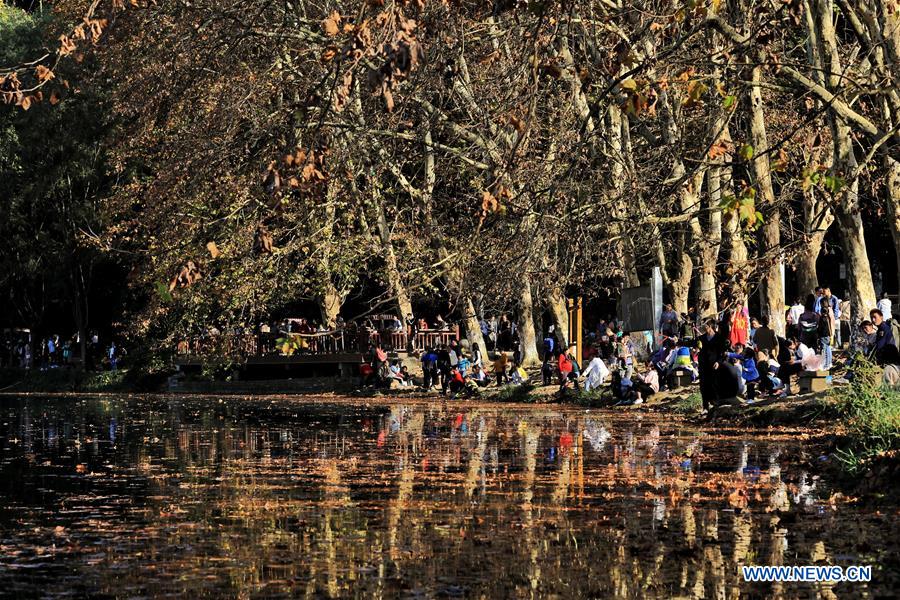 CHINA-GUIZHOU-GUIYANG-WETLAND PARK-AUTUMN SCENERY (CN)