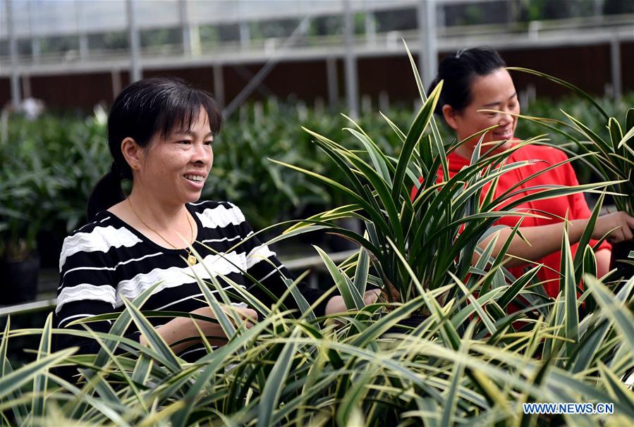 CHINA-FUJIAN-LIANCHENG-E-COMMERCE (CN)