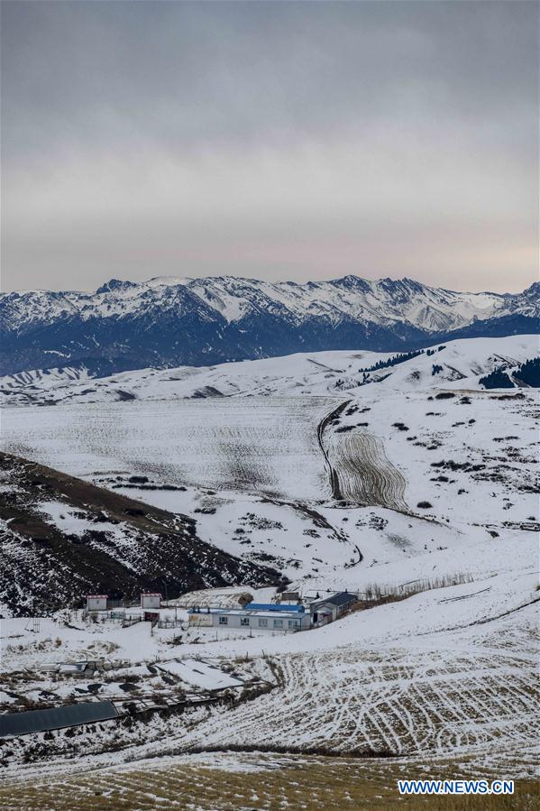 CHINA-XINJIANG-SNOWFALL (CN)