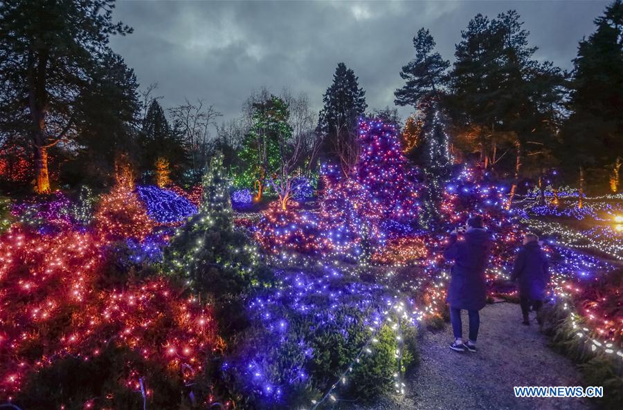 CANADA-VANCOUVER-CHRISTMAS LIGHTS