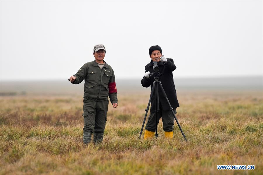 CHINA-ANHUI-MIGRANT BIRD-PROTECTOR (CN)