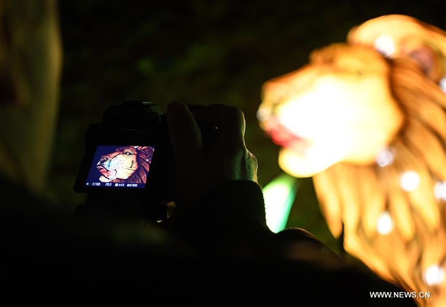 GERMANY-COLOGNE-CHINA LIGHT FESTIVAL