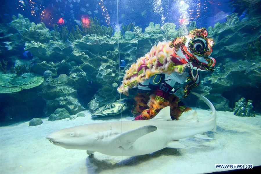 MALAYSIA-KUALA LUMPUR-UNDERWATER LION DANCE