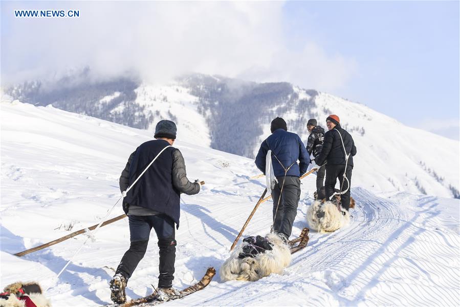 Xinhua Headlines: Ski lovers slide on fur snowboards in Xinjiang