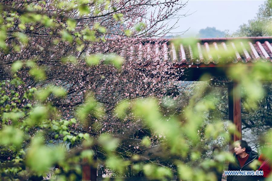 CHINA-FUJIAN-FUZHOU-TEMPLE-PLUM BLOSSOM (CN)