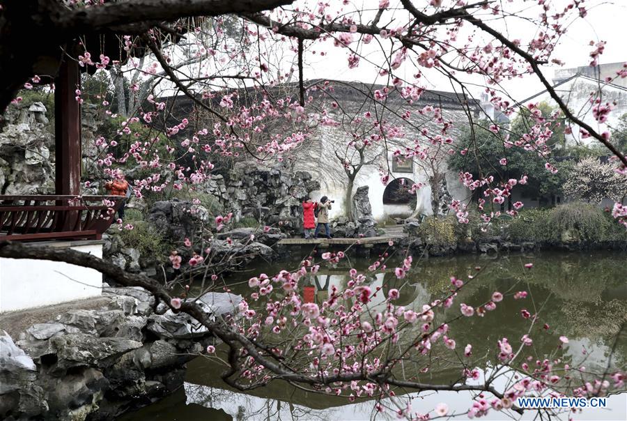 #CHINA-SPRING-FLOWERS (CN)