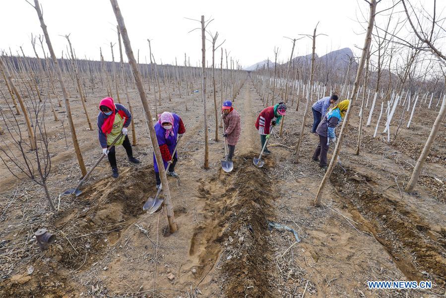 #CHINA-SPRING-FARMING (CN)