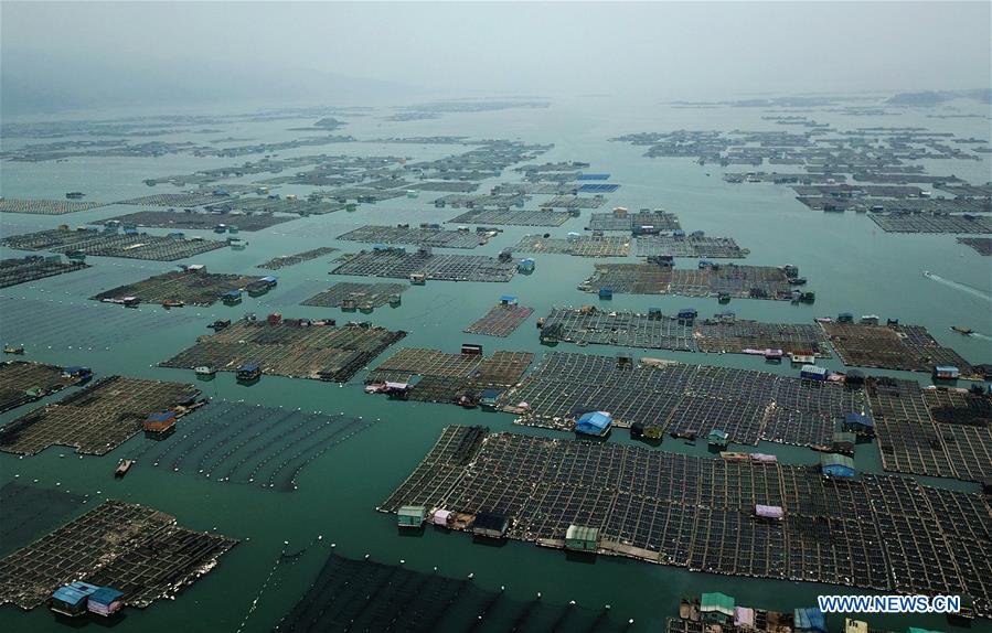 CHINA-FUJIAN-XIAPU-SEA CUCUMBER-HARVEST (CN)