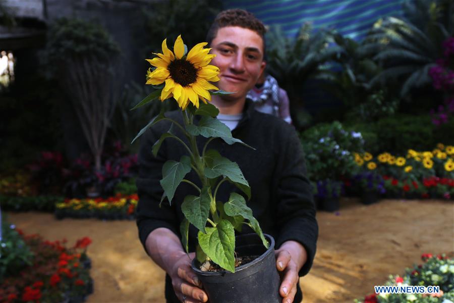 EGYPT-GIZA-FLOWER EXHIBITION