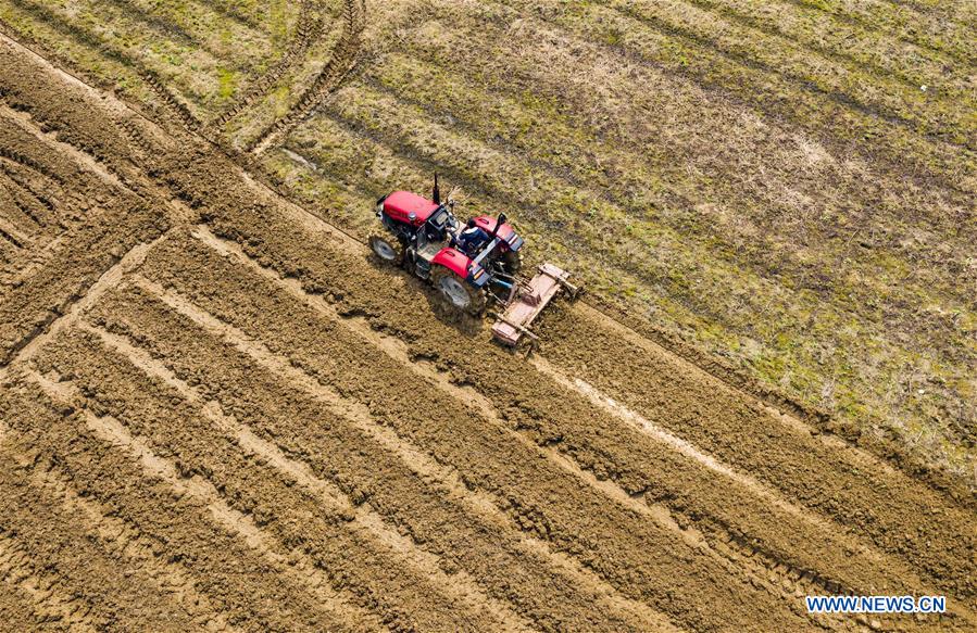 #CHINA-SPRING-FARM WORK (CN)