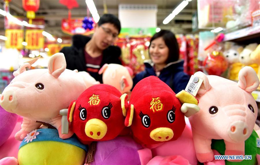 CHINA-YEAR OF PIG-BIRTHS-REBOUND(CN)