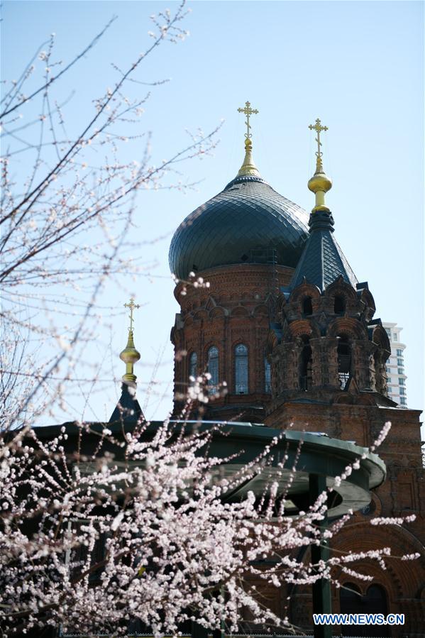 CHINA-HARBIN-SPRING (CN)