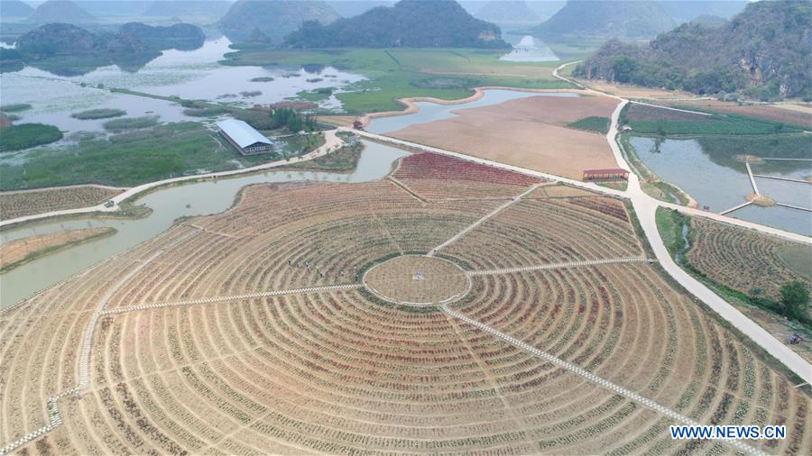 CHINA-YUNNAN-PUZHEHEI NATIONAL WETLAND PARK (CN)